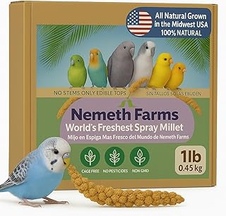 Nemeth Farms Premium Non-GMO Spray Millet Treat | Hand-Harvested Bird Snack | 100% Edible Tops | Sun-Dried Supplement for Parakeets, Cockatiels, Finches, Lovebirds, Canaries