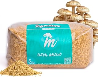 Sponsored Ad - Mycelium 5 lb Millet Mushroom Grain Spawn | Pre-Sterilized Bag with Self-Healing Injection Port – Ideal for Fast, Clean Mycelium Growth | Ready to Inoculate for At-Home Cultivation | Ma