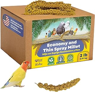 Sponsored Ad - Birds LOVE Economy Special Spray Millet - 2 LBS GMO-Free (No Stems Only Edible Tops) for Birds Cockatiel Lovebird Parakeet Finch Canary All Parrots Healthy Treat