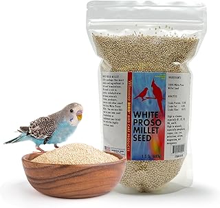 Morning Bird White Proso Millet Bird Seeds 1.5 lbs – Healthy & Nutritious Pet Bird Food - Bird Seeds for Feather Growth – Perfect for Finches, Parakeets & Other All Pet Birds