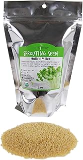 Sponsored Ad - Handy Pantry Organic Hulled Millet Seeds 16 oz – Non-GMO Whole Grain for Flour, Beer Brewing, Bird Seed & Emergency Food Storage