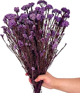 17 Inches Natural Dried Millet Flower Bouquet for Decor, 22-25 Stems Home and Wedding Decoration (Purple)