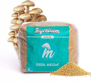 Mycelium 3 lb Millet Grain Spawn | Pre-Sterilized Grain Bag with Self-Healing Injection Port – Ideal for Fast, Clean Mycelium Growth | Perfect for Mushroom Cultivation | Made in USA